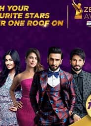 Zee Cine Awards (2019) HDRip  Hindi Full Movie Watch Online Free