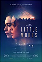 Little Woods (2019) HDRip  English Full Movie Watch Online Free