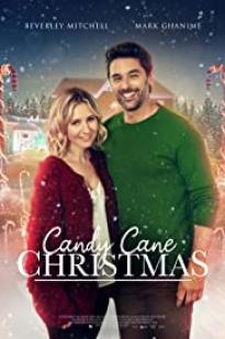 Cranberry Christmas (2020) HDTV  English Full Movie Watch Online Free