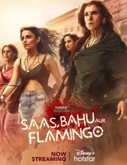 Saas Bahu Aur Flamingo Season 1 (2023) HDRip  Hindi Full Movie Watch Online Free